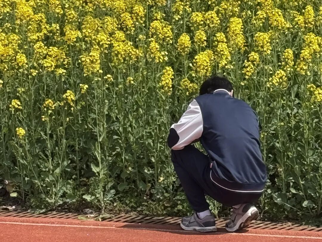 四调之后，做一个坚实、平和而温暖的陪伴者